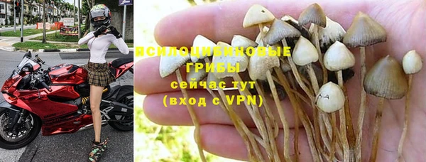ГАЛЛЮЦИНОГЕННЫЕ ГРИБЫ Алексин